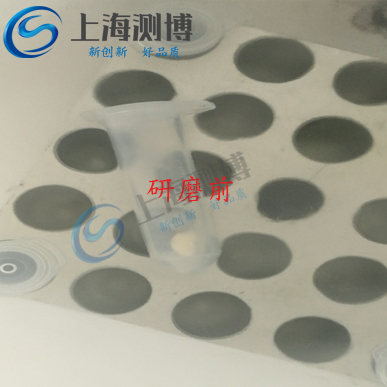 多樣品組織研磨儀能提取玉米DNA嗎？其研磨效果如何？